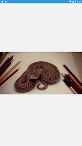 3D Drawing Art Design Unknown