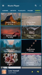 Music Player v6.6.5 build 100665001 Pro APK 5