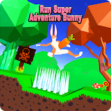 Run Super Adventure Bunny icon