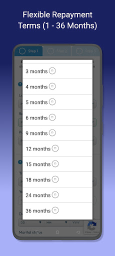 Short Term Loans－Instant Quote Screen 3