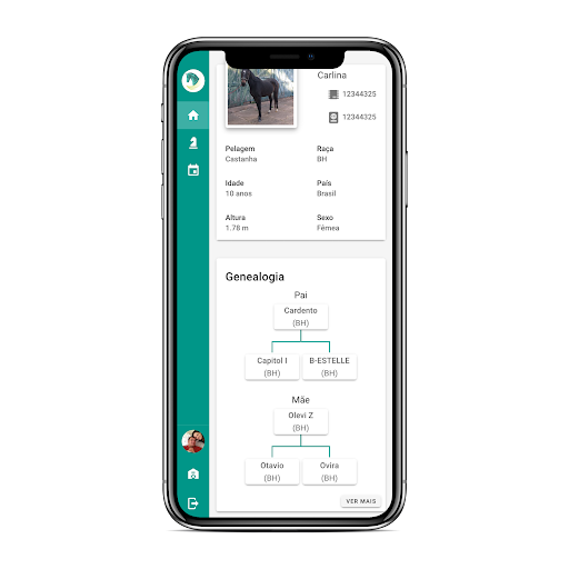 Android application Beyond Horse screenshort