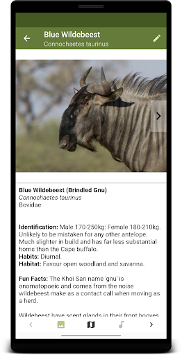 Botswana Wildlife Guide Screen 2