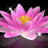 Water Lily Bell LWP Trial icon