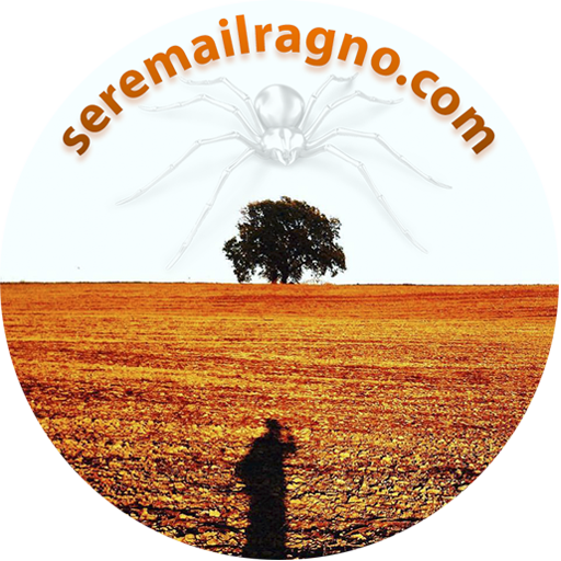 Seremailragno.com™ logo