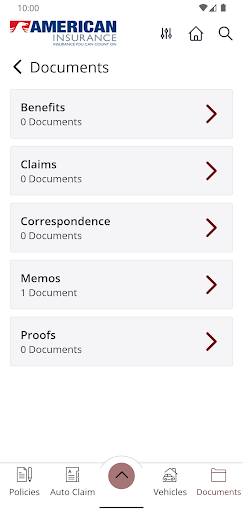 American Insurance Online Screen 3