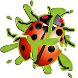 LadyBug Smasher icon