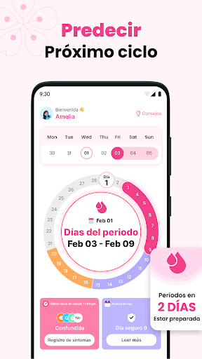 Vista previa de la aplicación