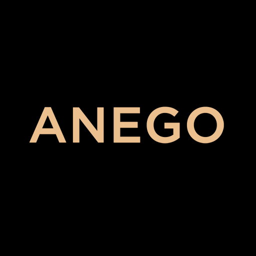 ANEGO Download on Windows