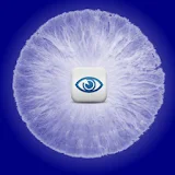 Retinal Scanner icon