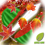 Fruit Cutter - Autumn Version icon