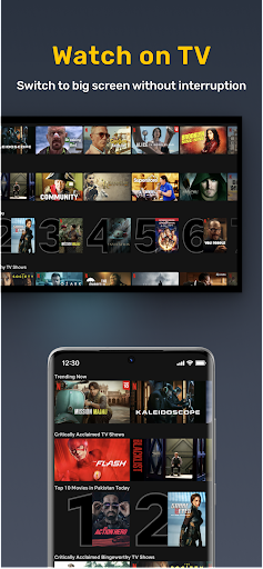Cast to TV - Screen Mirroring Screen 3