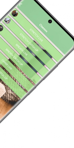 Holistically Healthy You Screen 3