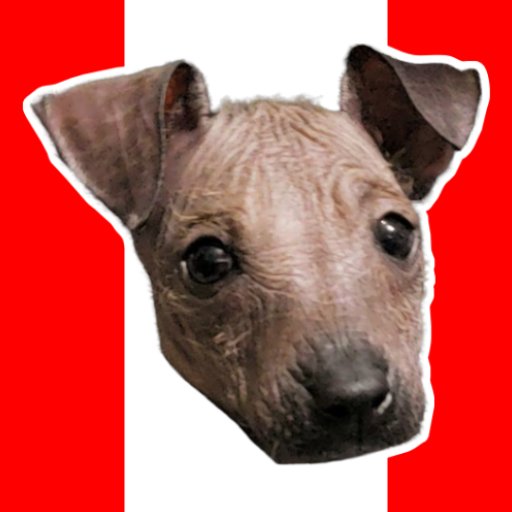 Stickers Perro Peruano 1.1 Icon