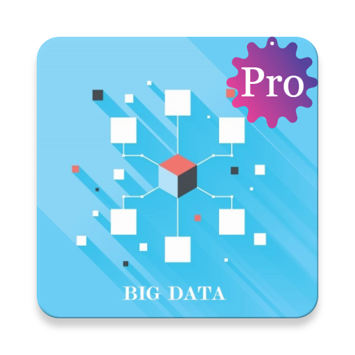 Learn - BigData Pro logo