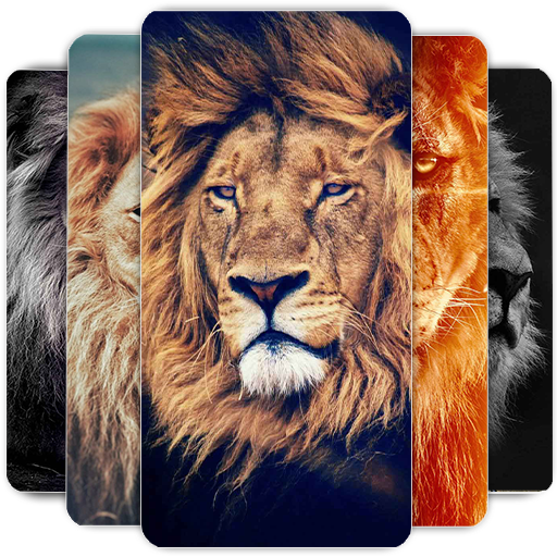 Fondos de pantalla de leones - Apps en Google Play