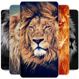 Lion Wallpapers HD icon