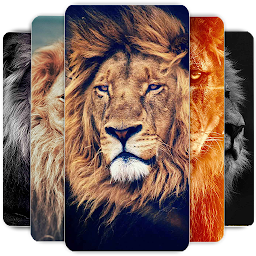 Symbolbild für Lion Wallpapers HD