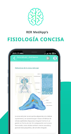 Vista previa de la aplicación