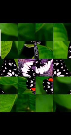 Rotate Puzzle - Screenshot 2