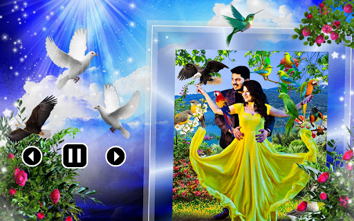 Android application Bird photo video maker song screenshort