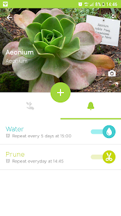 Gardenia Screenshot