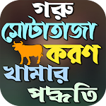 Cover Image of Download গরু মোটা তাজাকরণ পদ্ধতি  APK
