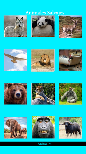 Animals Screen 2