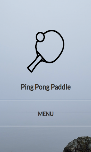 Android application The Ping Pong Paddle Info screenshort