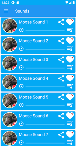 Moose Sounds