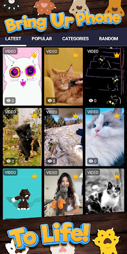 cat wallpaper Screen 2