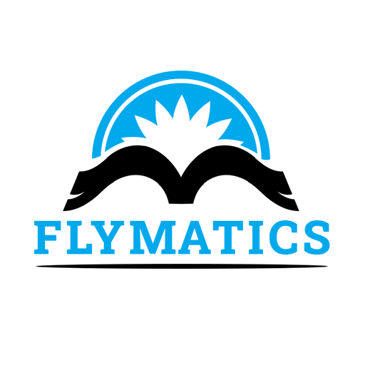 Flymatics | G12 Maths logo