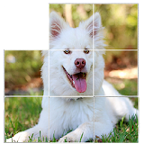 free dog puzzles icon