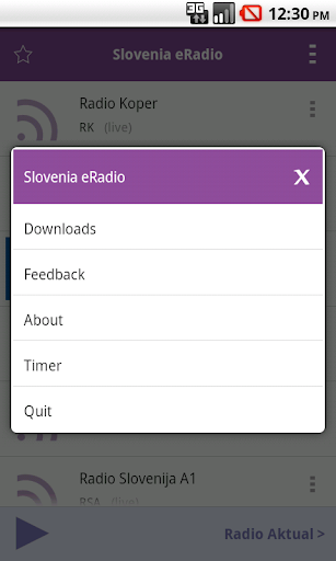 Slovenia Radio Screen 2