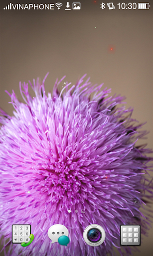 Lilac Live Wallpaper HD 4K