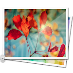 Cover Image of Download Image Gallery  APK