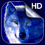 Cover Image of Herunterladen Wolf Live Wallpaper HD  APK