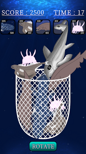 All-You-Can-Pack Sea Creatures