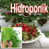 hydroponic plants icon