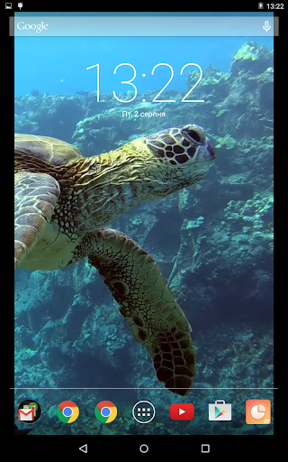 Incredible Sea Turtle Video Li