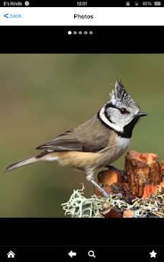 Birds of Britain and Irelandのおすすめ画像3