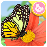 Butterfly - Insect World icon