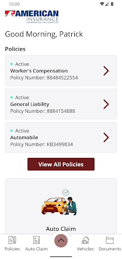 American Insurance Online Screen 2