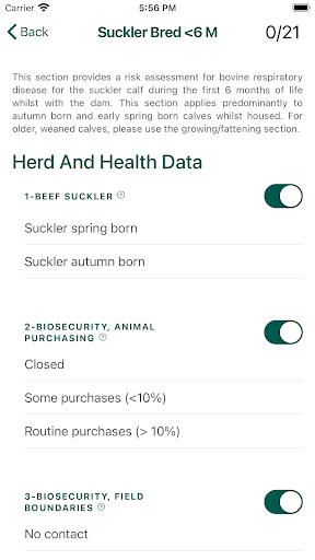Rispaudit UK Screen 2