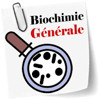 Cours Biochimie Generale