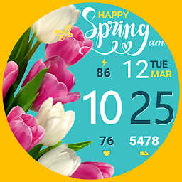 Obrázek ikony Talex Spring Watch