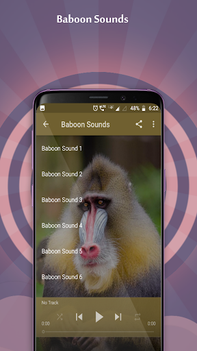 Baboon Sounds Screen 2