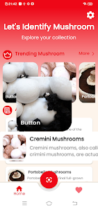 Mushroom identifier