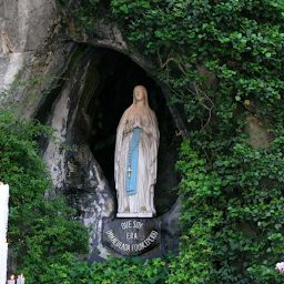 Icon image Novena a la Virgen de Lourdes
