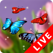 Butterfly Wallpaper  Icon