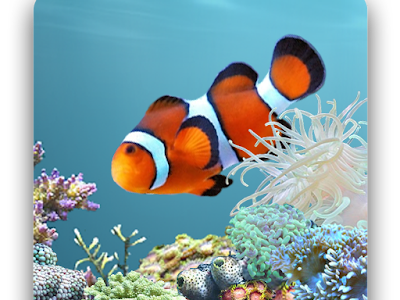 [最も選択された] おしゃれ 水族館 壁紙 906849